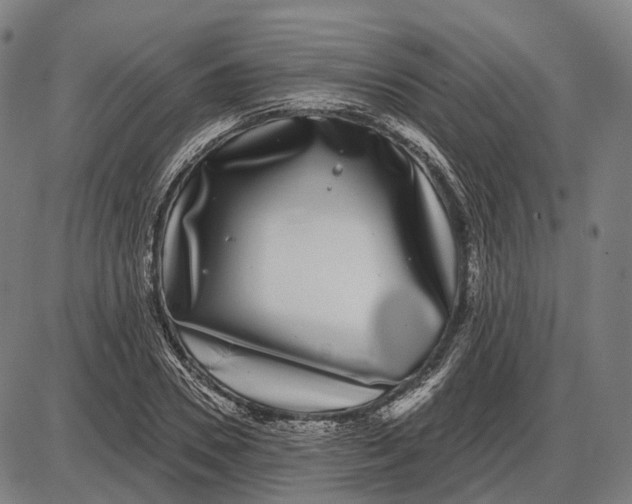 X0000085020930200703261217