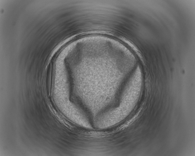 X0000085020933200703261217