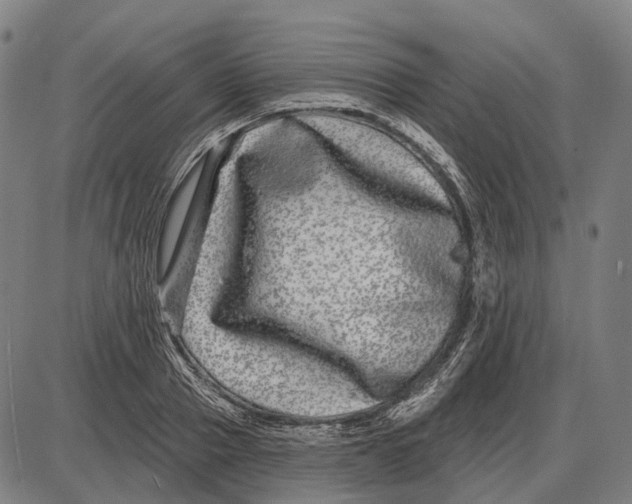 X0000085020937200703261217