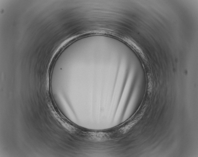 X0000085020940200703261217