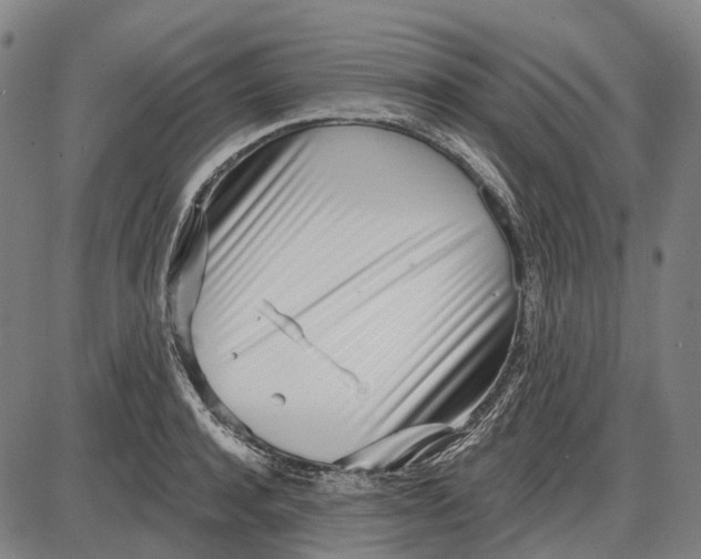 X0000085020944200703261217