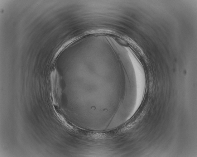 X0000085020945200703261217
