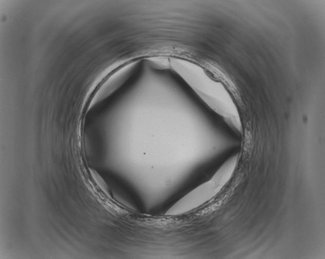 X0000085020948200703261217