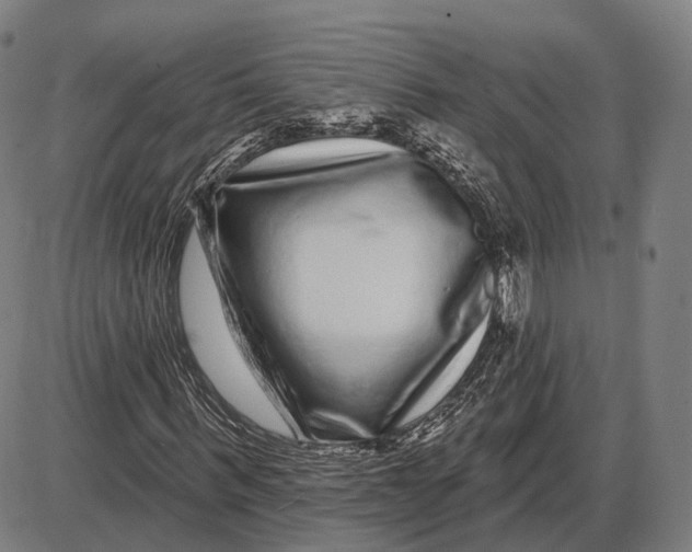 X0000085020963200703261216