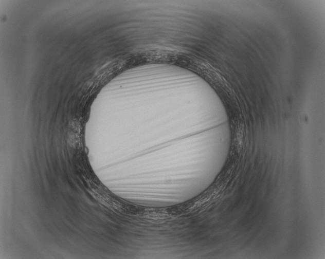 X0000085020964200703261216