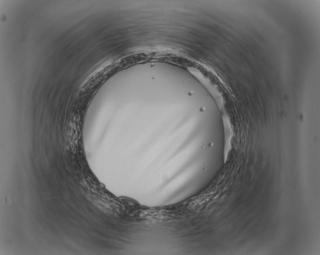 X0000085020967200703261216
