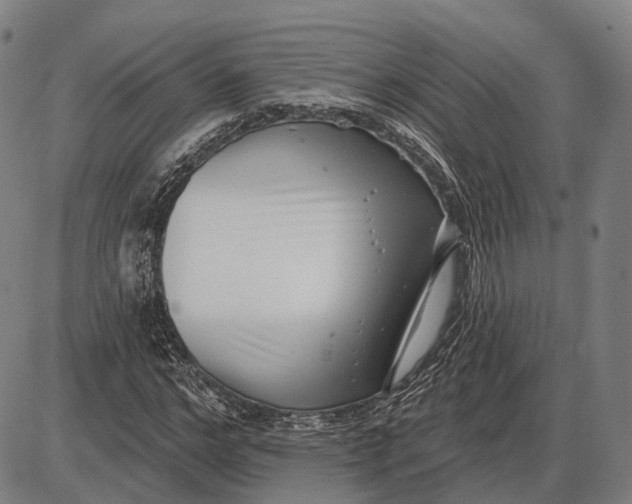 X0000085020968200703261216