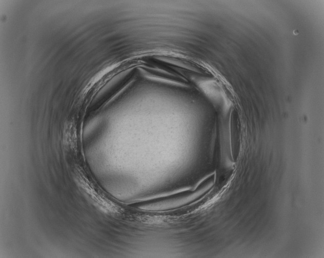 X0000085020969200703261216
