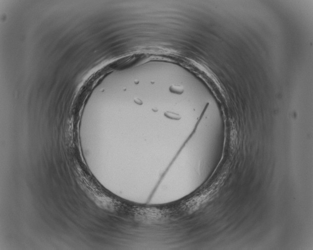 X0000085020971200703261216