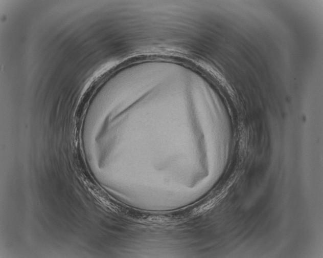 X0000085020974200703261216