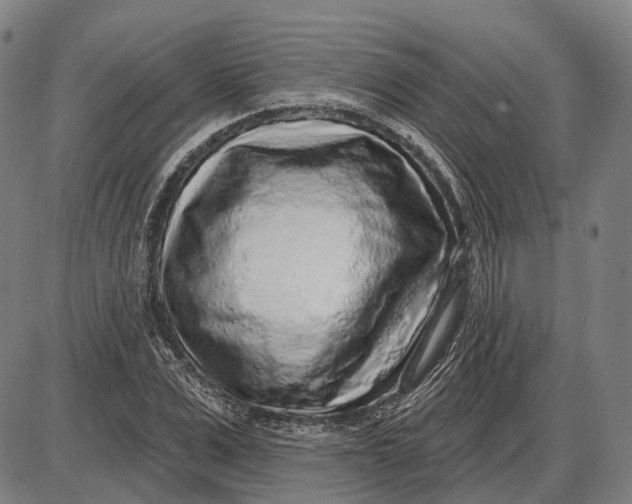 X0000085020975200703261216
