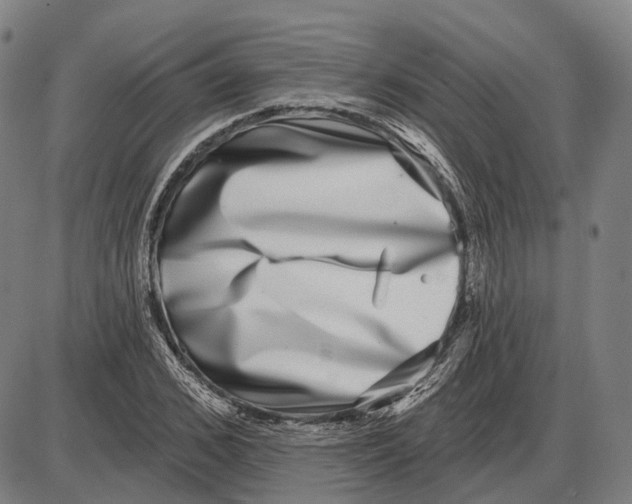 X0000085020976200703261216