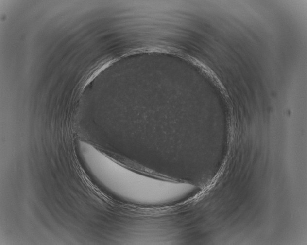X0000085020977200703261216