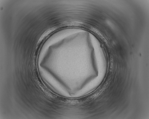 X0000085020978200703261216