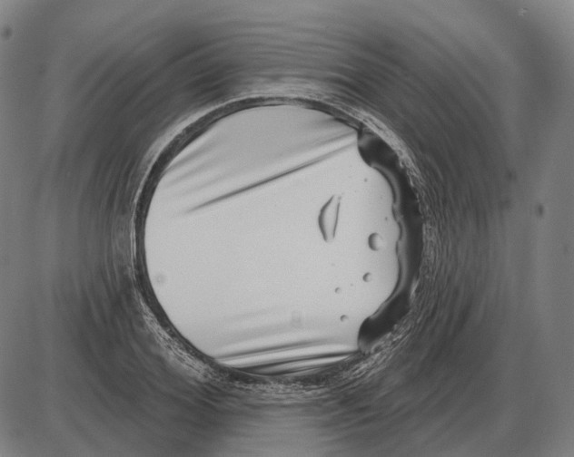 X0000085020980200703261216