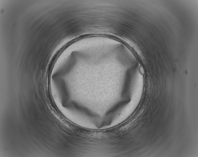 X0000085020982200703261216