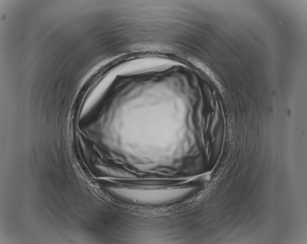 X0000085020983200703261216