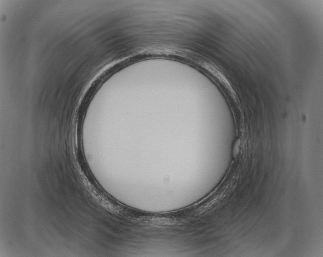 X0000085020984200703261216