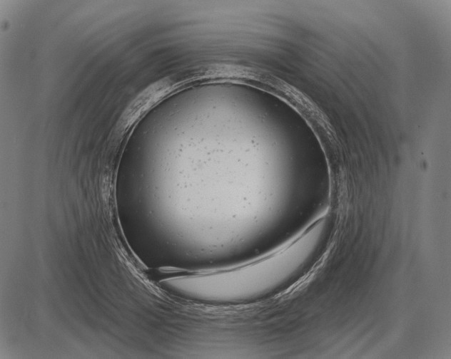 X0000085020985200703261216