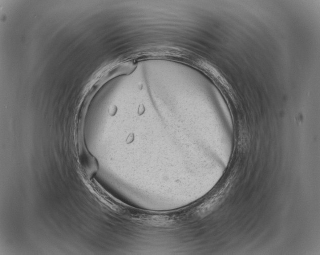 X0000085020986200703261216