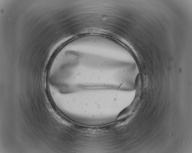 X0000085020987200703261216
