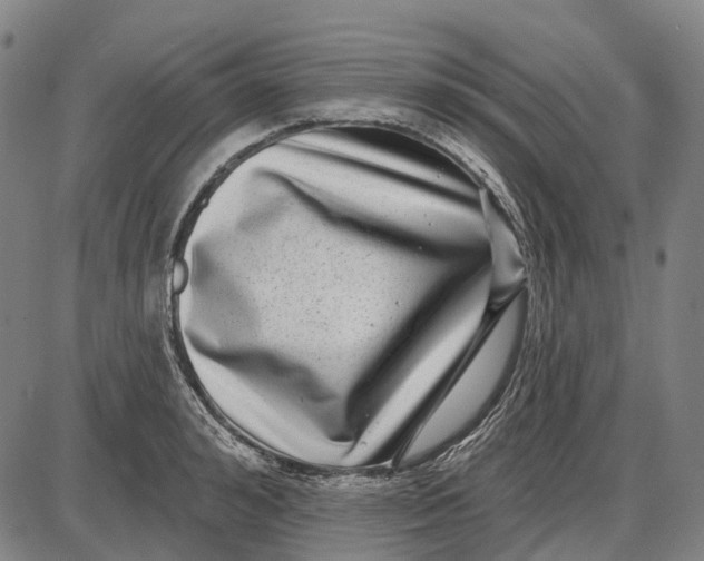 X0000085020992200703261216