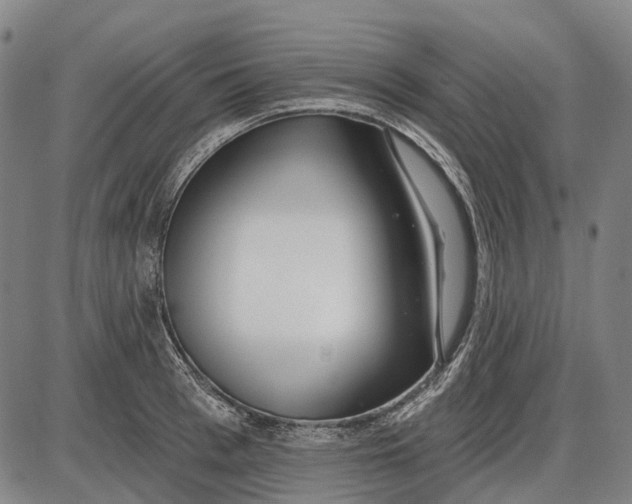 X0000085020993200703261216