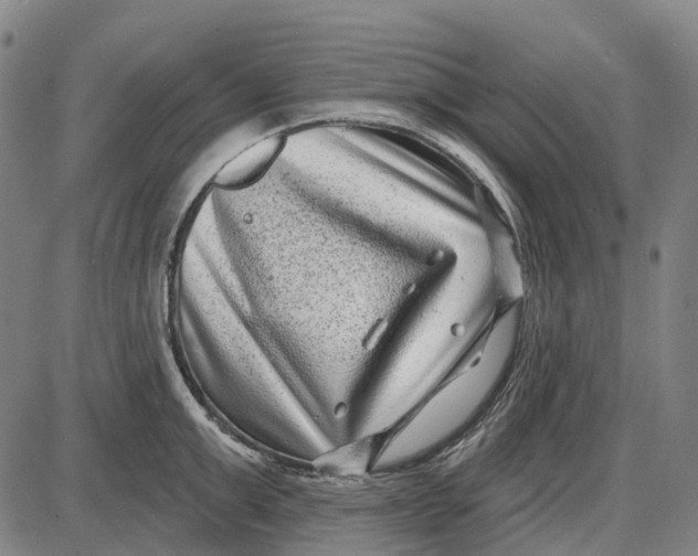 X0000085020999200703261216