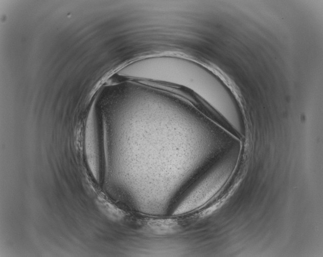 X0000085021001200703261216
