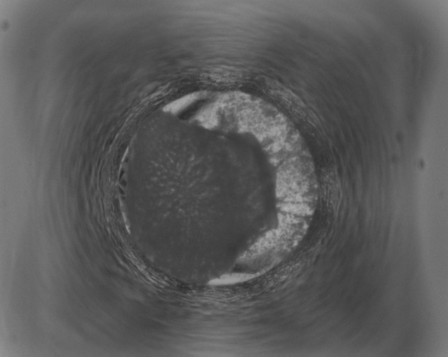 X0000085021009200703261215