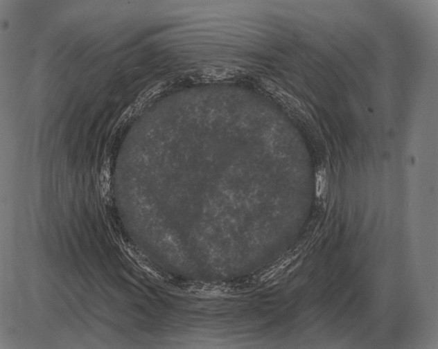 X0000085021011200703261215
