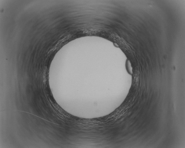 X0000085021012200703261215