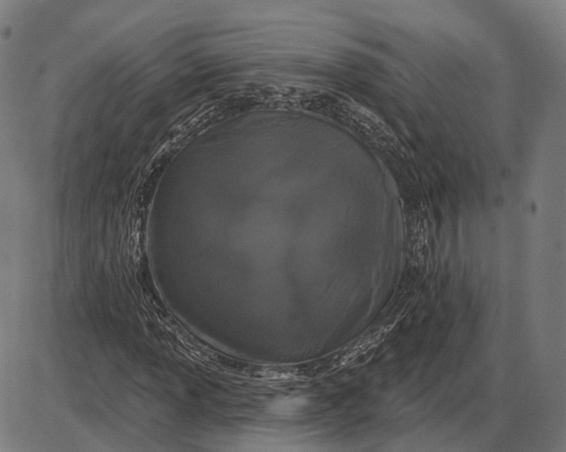 X0000085021013200703261215