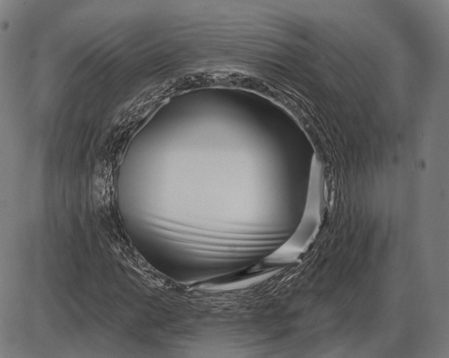 X0000085021014200703261215