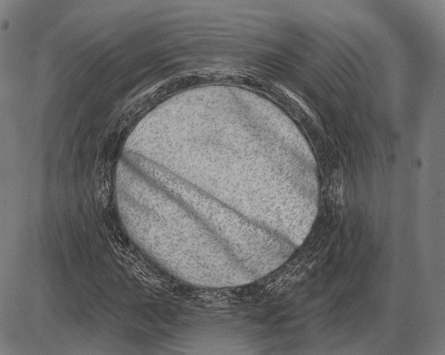 X0000085021015200703261215