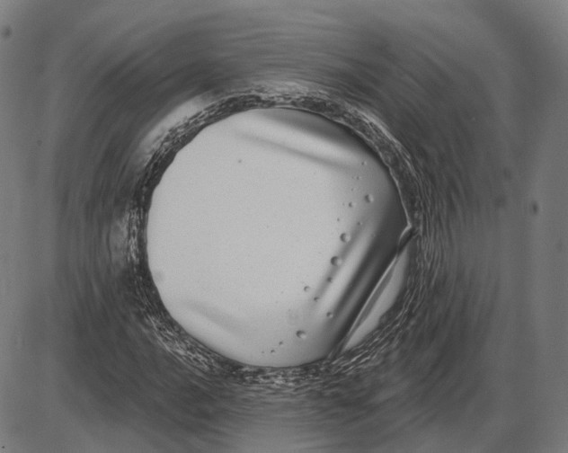 X0000085021016200703261215