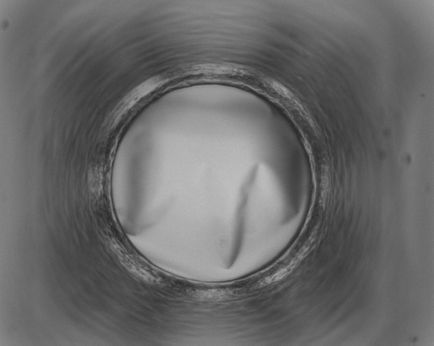 X0000085021017200703261215