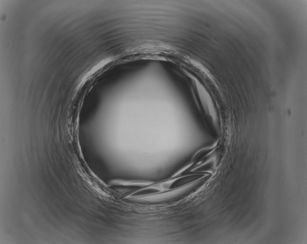 X0000085021018200703261215