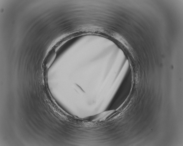 X0000085021022200703261215