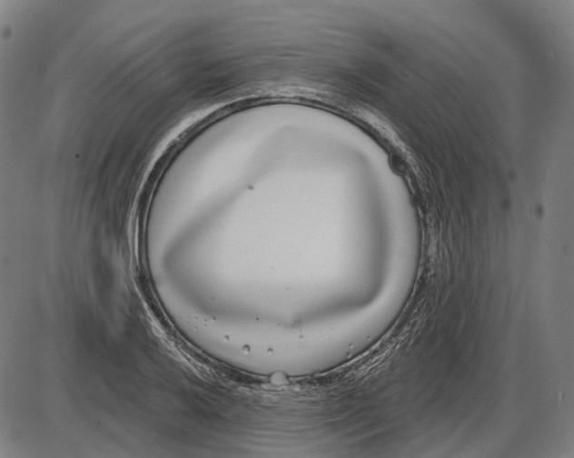 X0000085021032200703261215