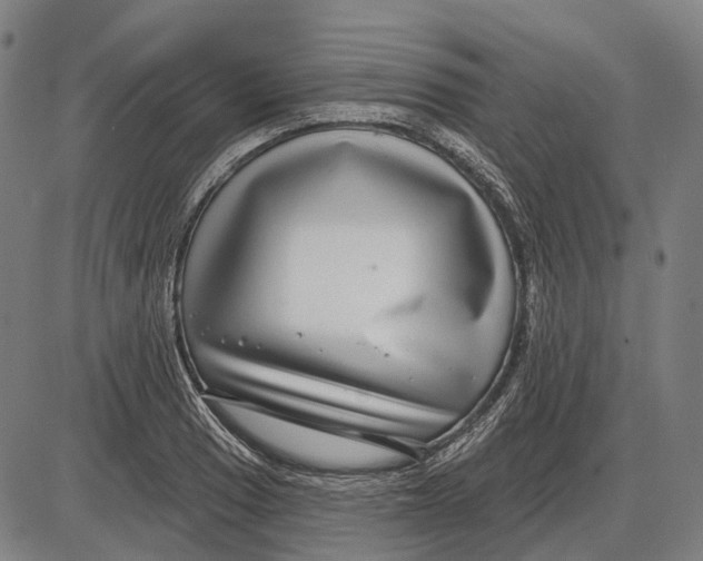 X0000085021033200703261215