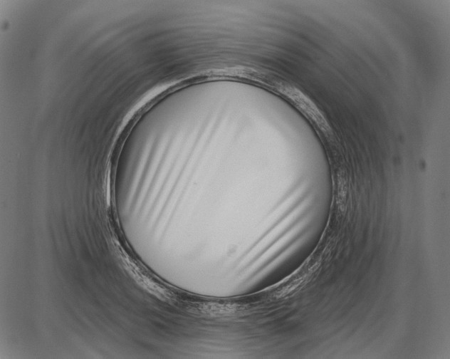 X0000085021036200703261215