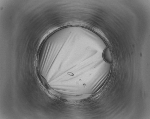 X0000085021040200703261215