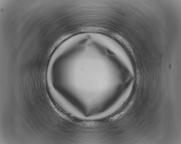 X0000085021041200703261215