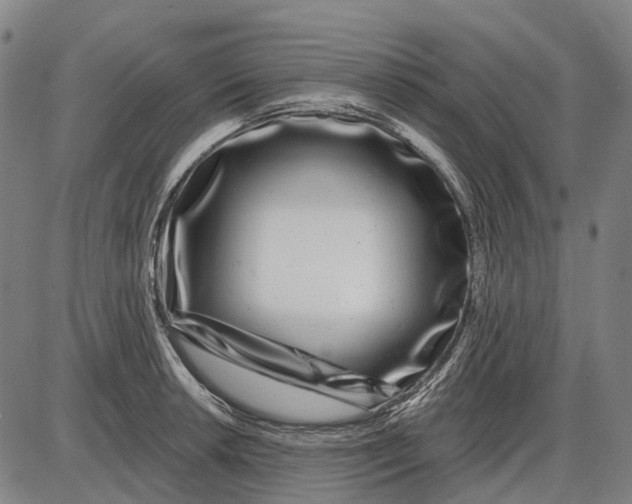 X0000085021042200703261215