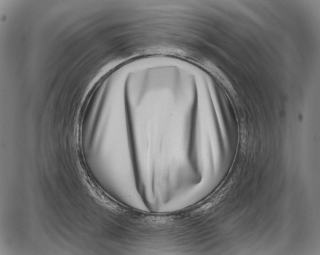 X0000085021044200703261215