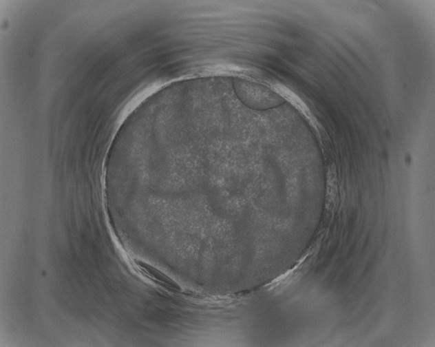 X0000085021047200703261215