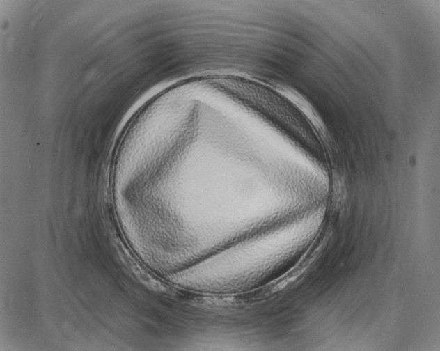 X0000085021052200703261216