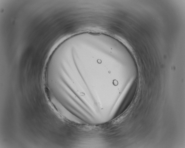 X0000085021056200703261216