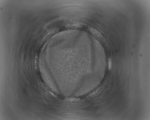 X0000085021059200703261215